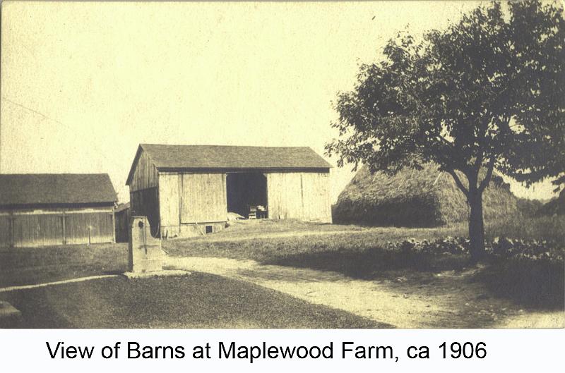1906_Maplewood Barns